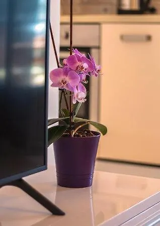 Apartman Boni